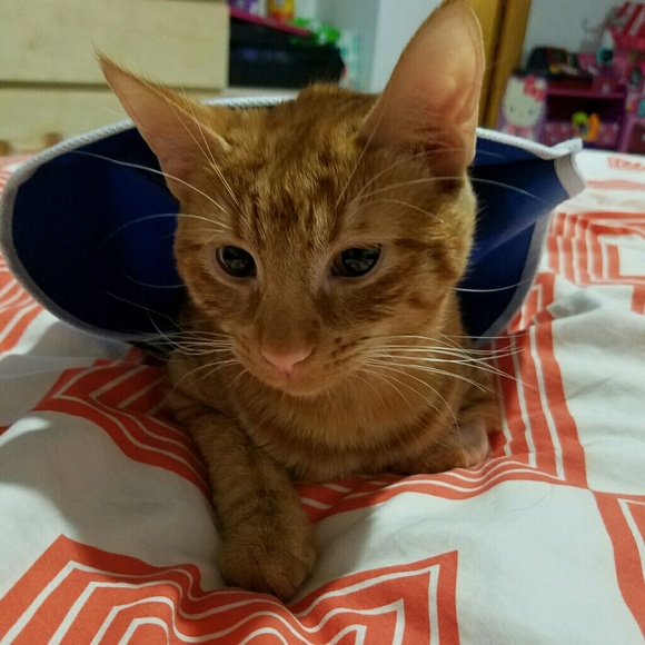 My baby just came out of ER. Need to pay bills! - Picture 3 of 4