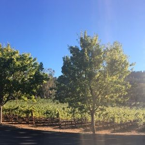 Meet your Posher, Roxana