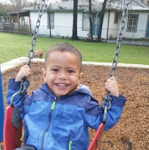 Meet your Posher, Holly