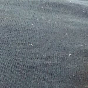 Meet your Posher, Susie