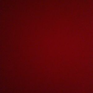 Meet your Posher, Leonardo