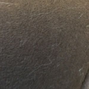 Meet your Posher, Sandy