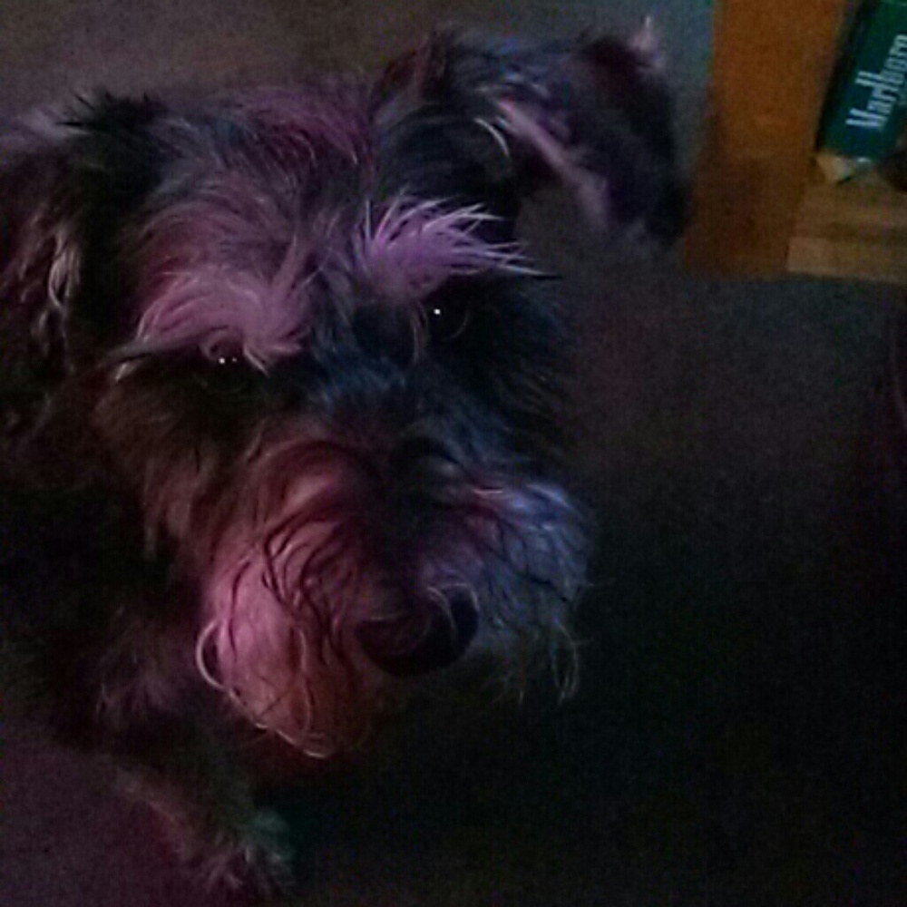 Meet your Posher, Andrea