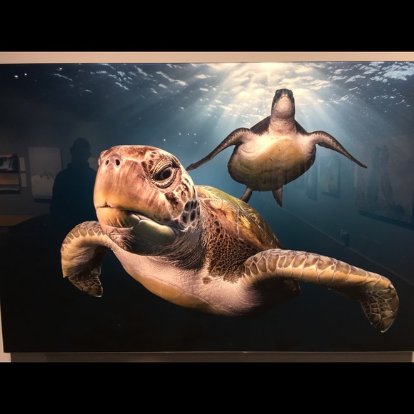 Meet your Posher, Robin - Picture 5 of 8