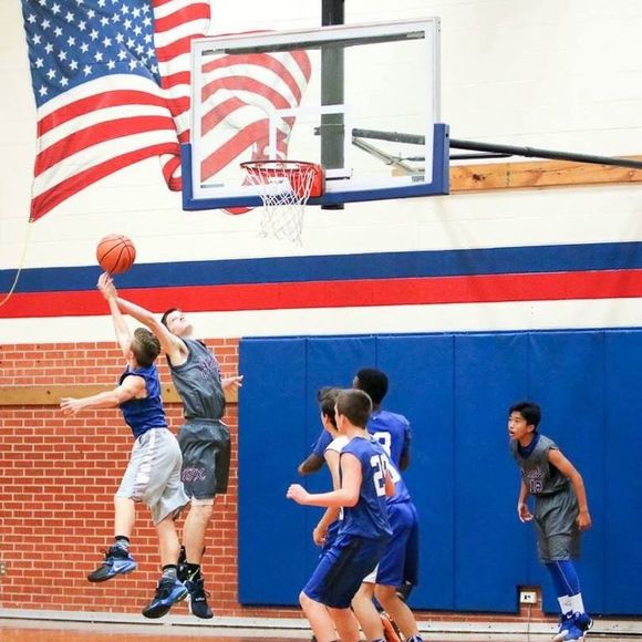 Meet your Posher, Owen - Picture 1 of 1