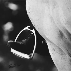 Meet your Posher, Aisha