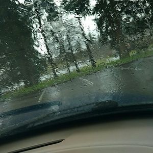 Meet your Posher, Betty