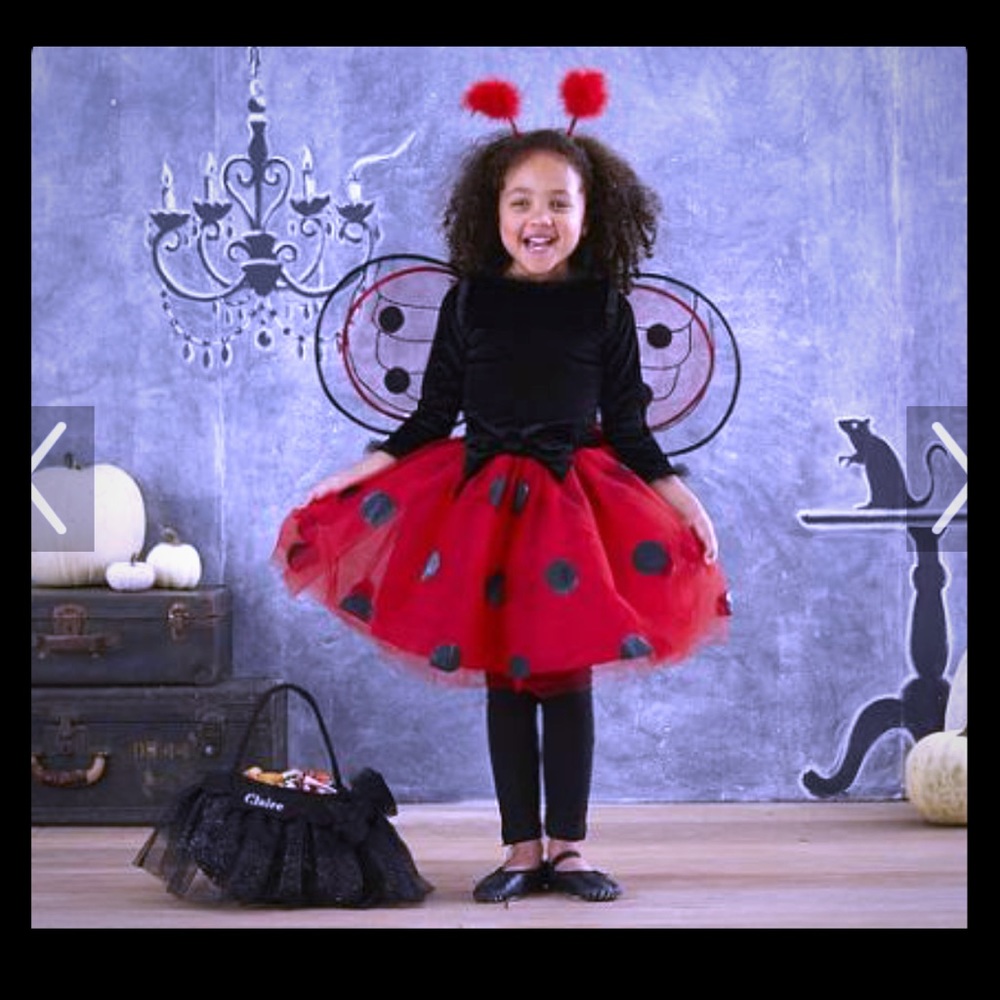 Ladybug costume