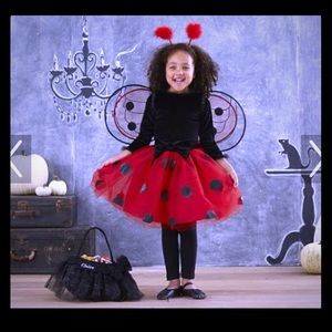 Ladybug costume