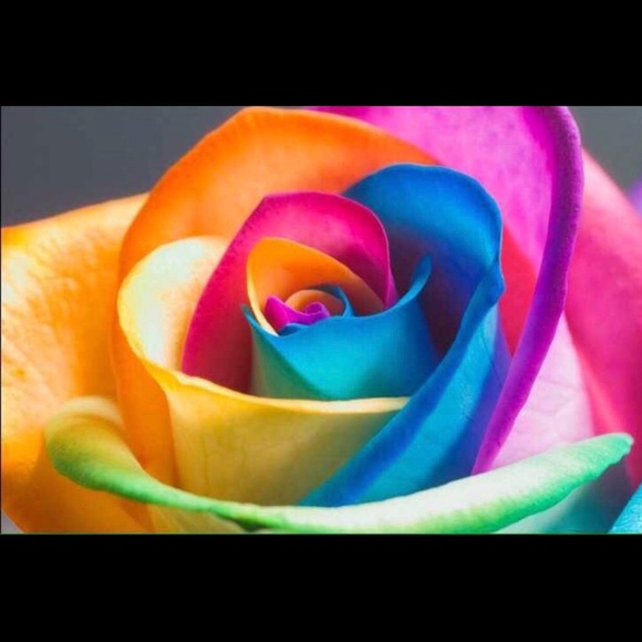 💚Natural Health & Healing 💚 - Picture 5 of 6