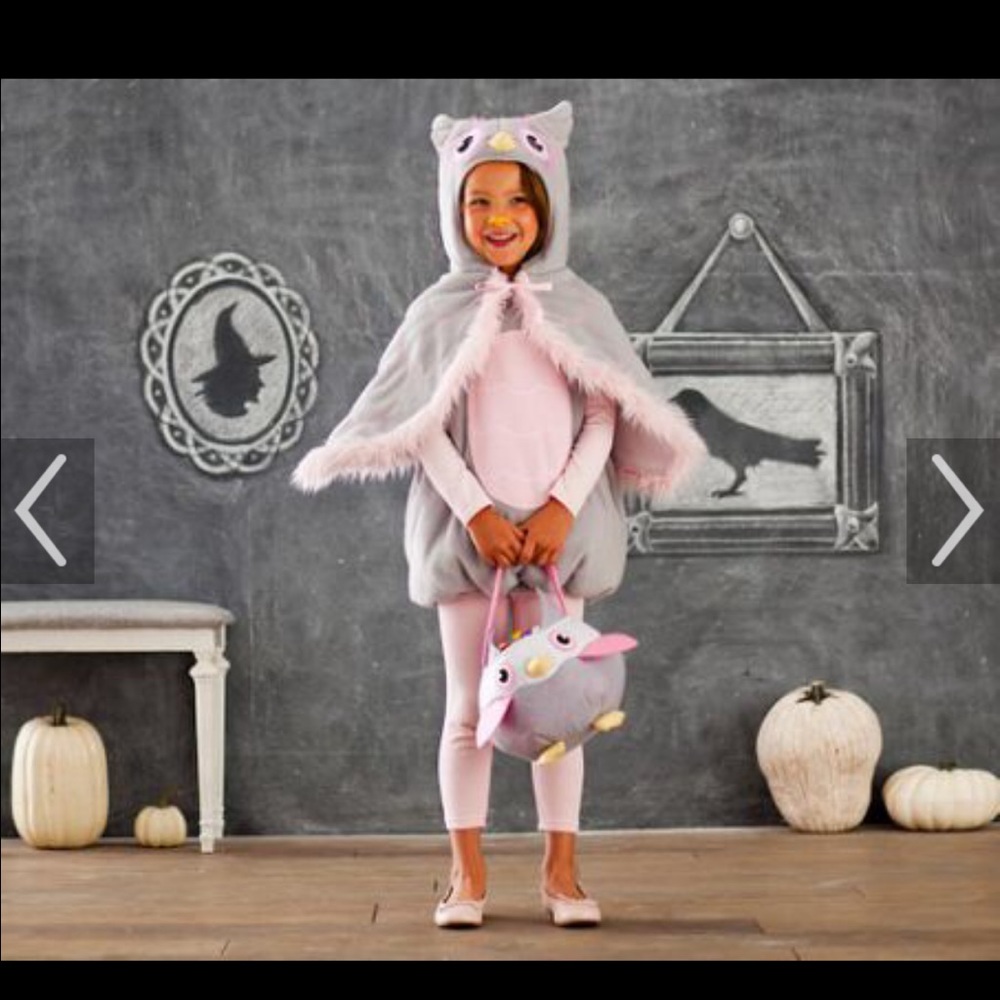 Pbk owl costume 🦉EUC