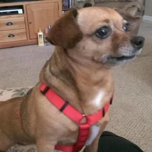 Meet your Posher, Jan