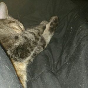 Meet your Posher, Brittany