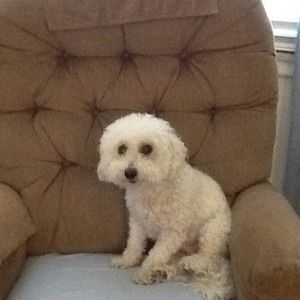 Meet your Posher, Marti