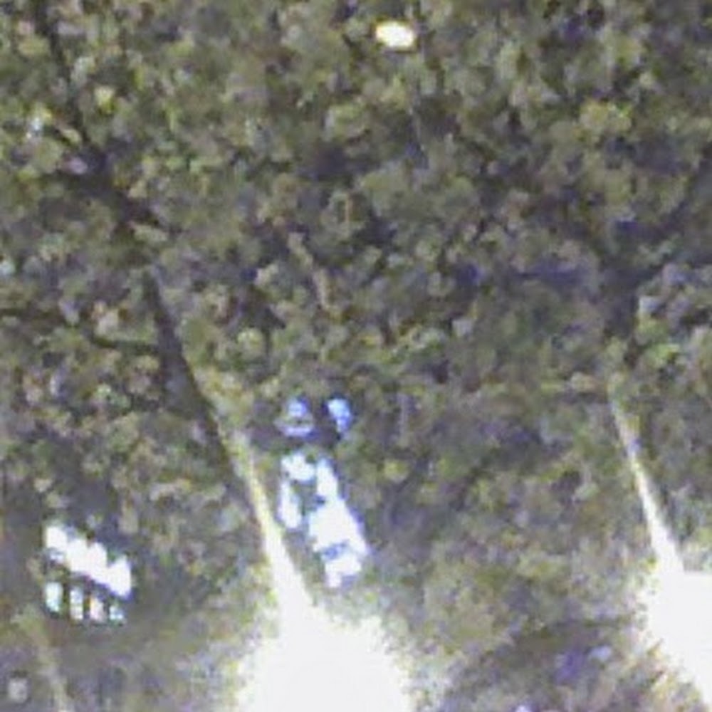 Meet your Posher, Martha