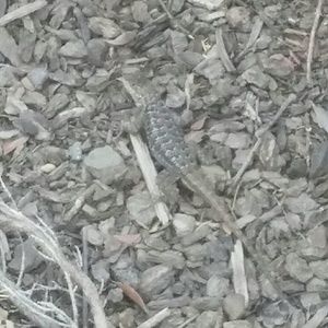 Meet your Posher, Marissa