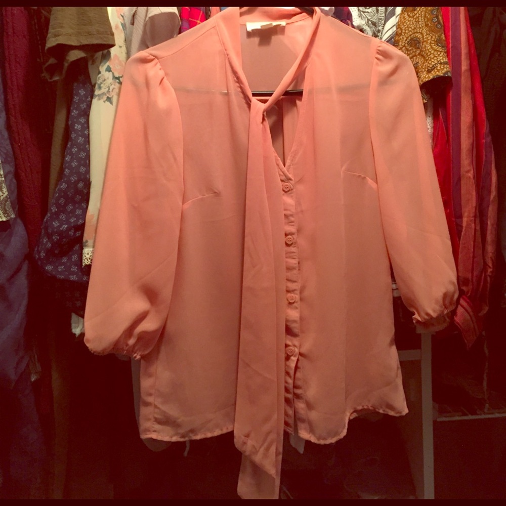 Pink shear blouse