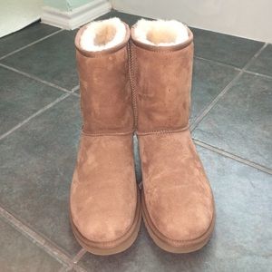 Classic Chestnut Uggs