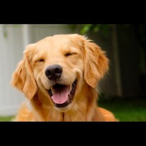 Meet your Posher, Savannah