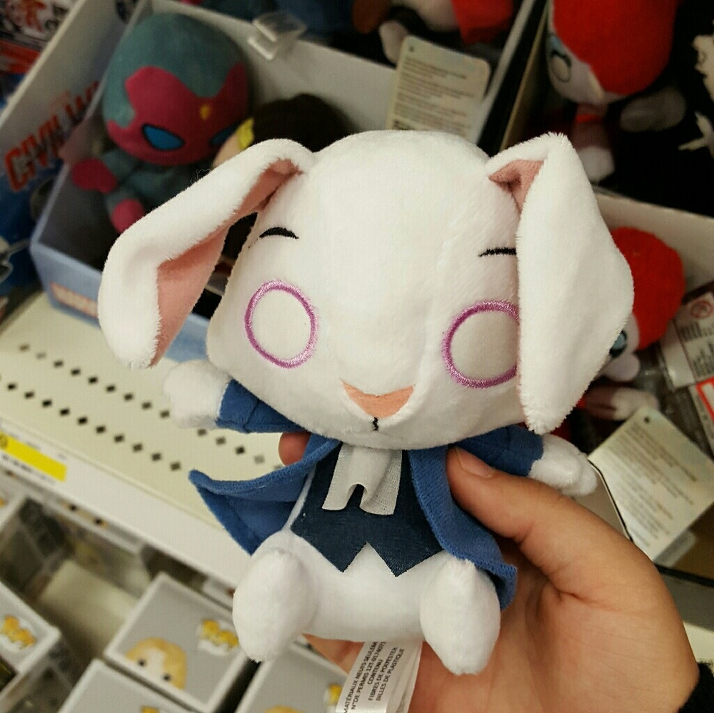 Meet your Posher, Katt