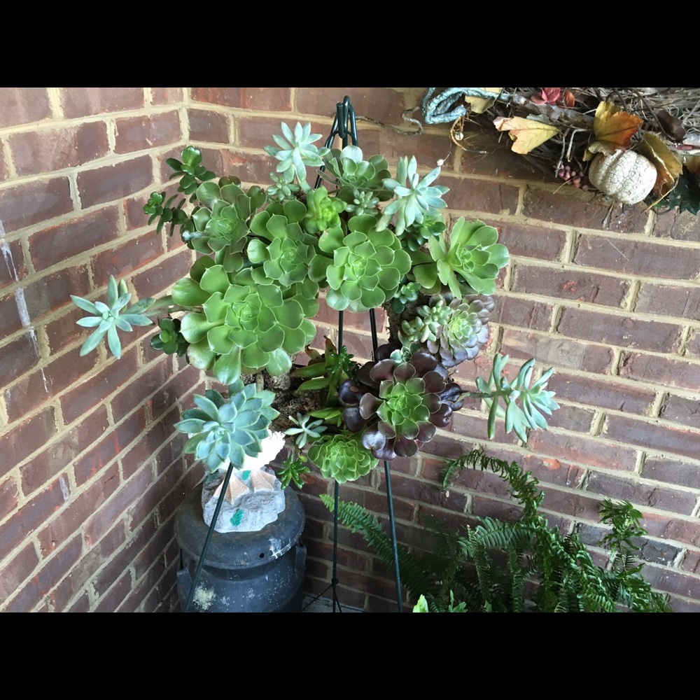 Meet your Posher, Debbie