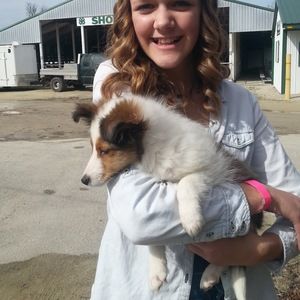 Meet your Posher, Olivia