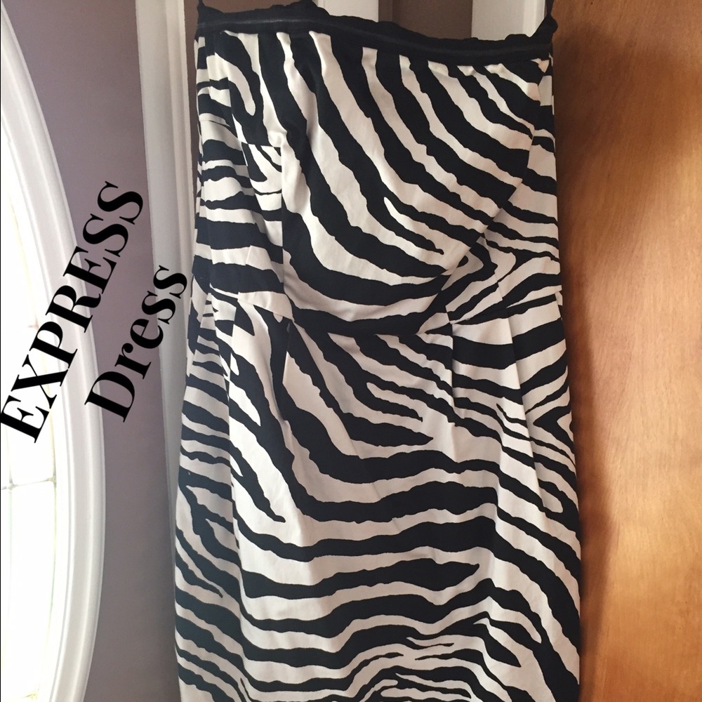 EXPRESS Strapless Zebra Dress with Pockets
