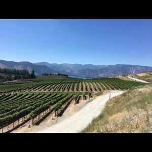 Meet your Posher, Jen