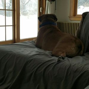 Meet your Posher, Alexis