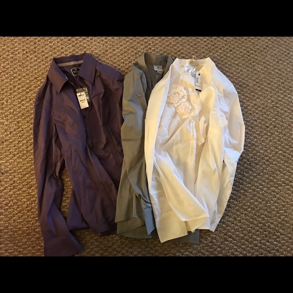 Button Down Shirts Bundle