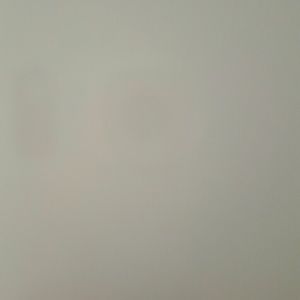 Meet your Posher, Ramona