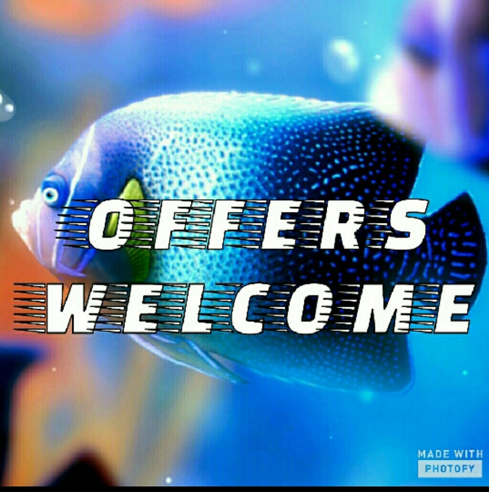 Make me a offer or trade