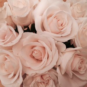 Buy whole closet for $5 flash sale!!!