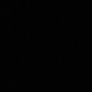 Meet your Posher, Trey