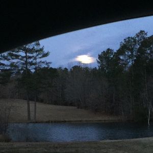 Meet your Posher, Ginny