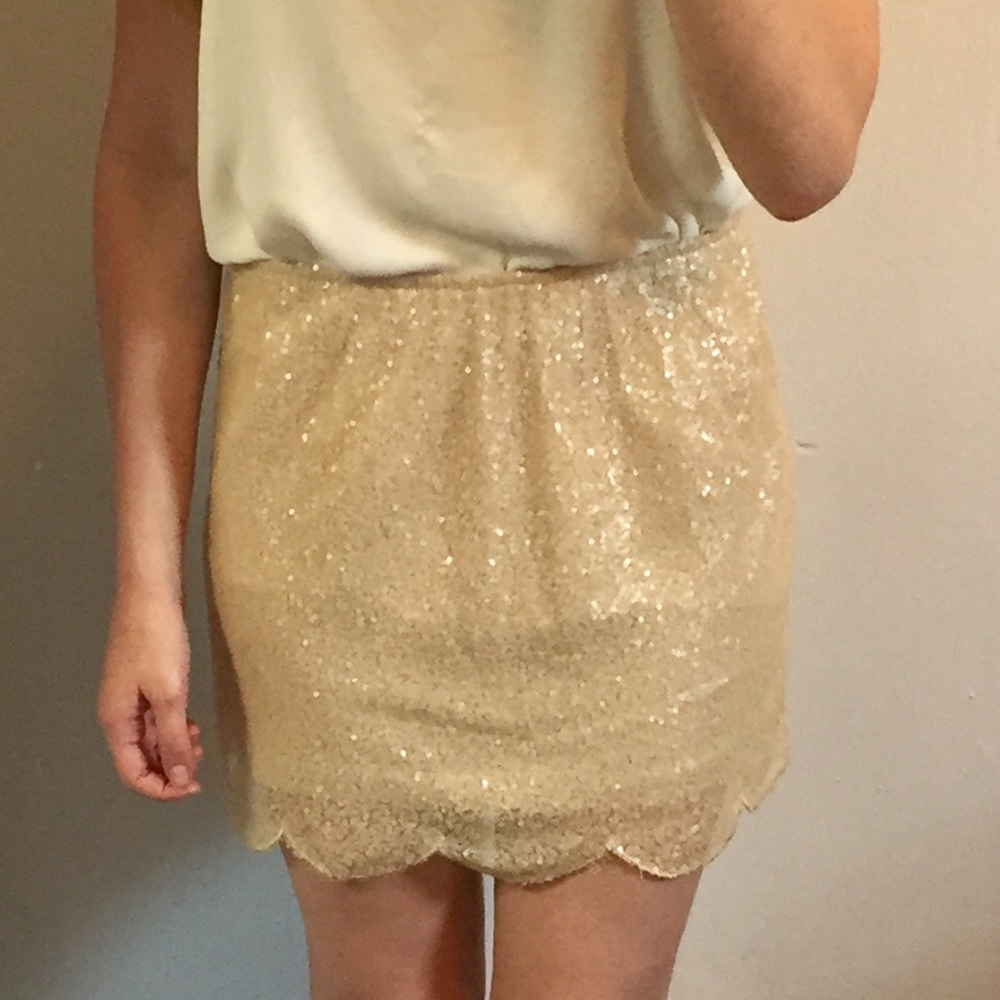Sequined Skirt