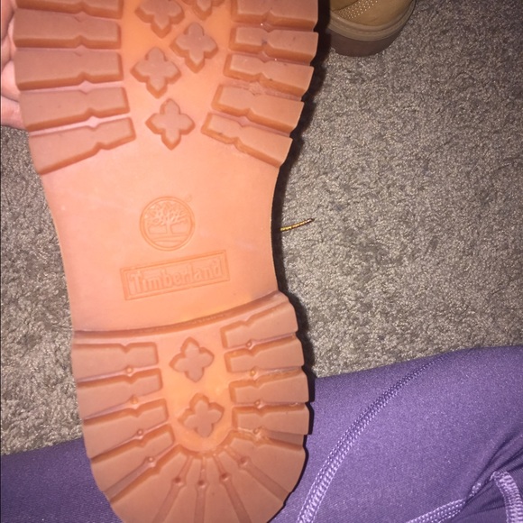 Timberlands - Picture 3 of 6