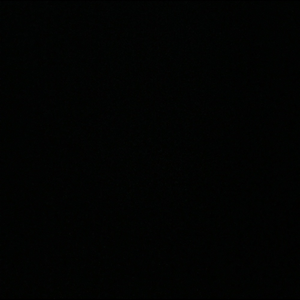 Meet your Posher, Pauline