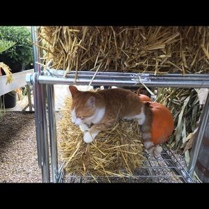 Meet your Posher, Kati