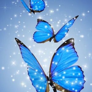 Meet your Posher, Tabitha