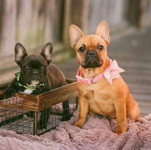 Meet your Posher, Donna