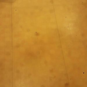 Meet your Posher, Rafael