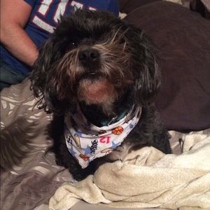 Meet your Posher, Bianca