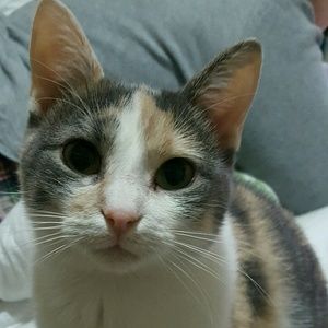 Meet your Posher, Alison