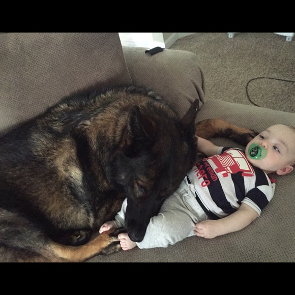 Meet Lauren - Picture 4 of 7