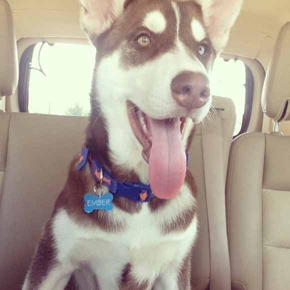 Meet Lauren - Picture 5 of 7