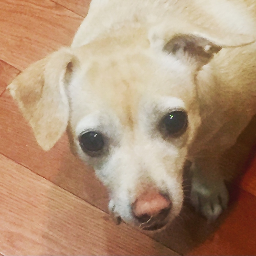 Meet your Posher, NK