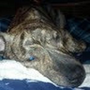 Meet your Posher, Alicia