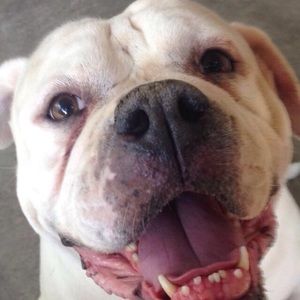 Meet your Posher, Anthony