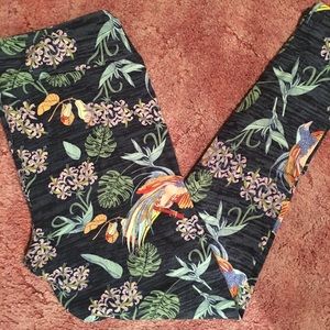 Lularoe Parrot leggings in TC